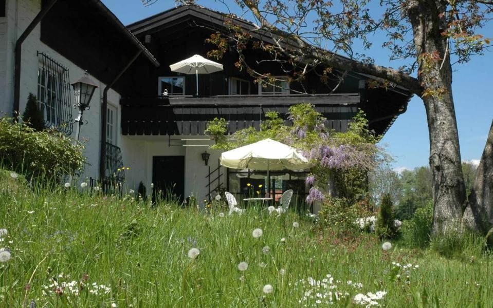 Ferienhaus Nest 블라이하흐 외부 사진
